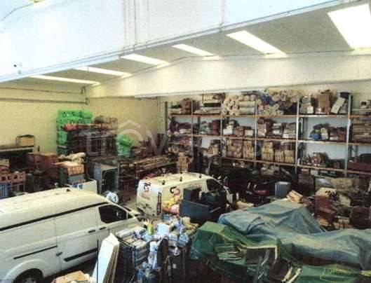 immagine annuncio 6 di 11