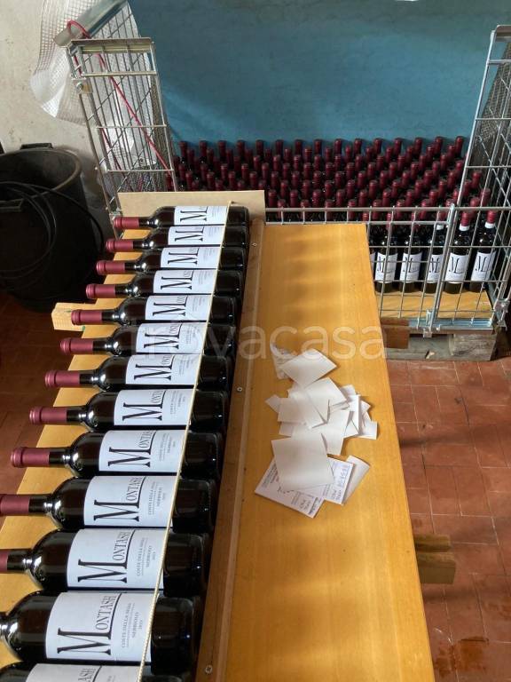 immagine annuncio 4 di 14