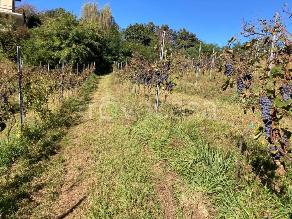 immagine annuncio 6 di 14