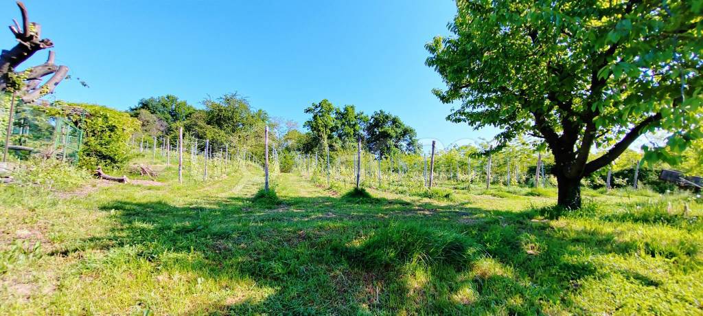 immagine annuncio 8 di 14