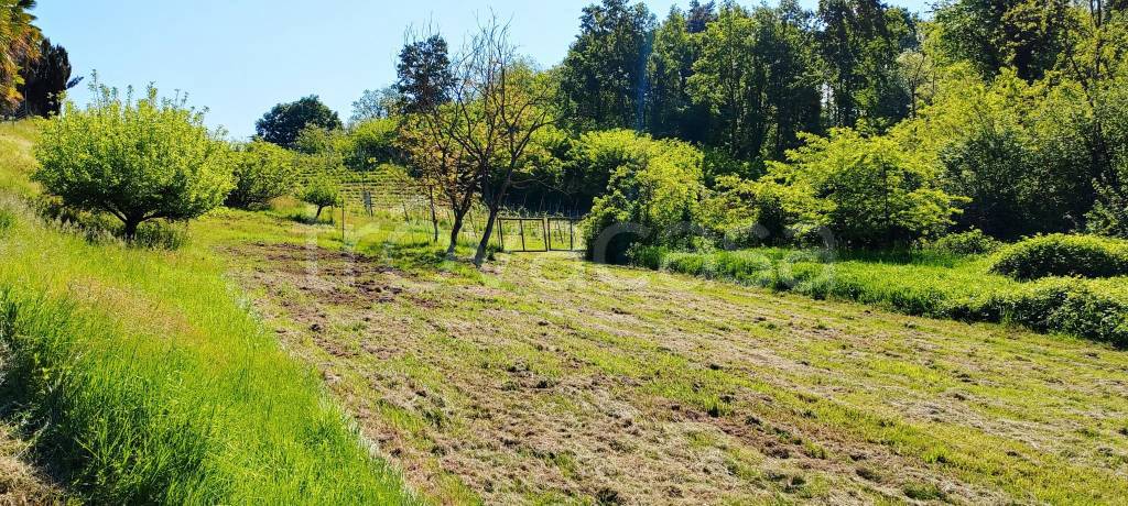 immagine annuncio 11 di 14