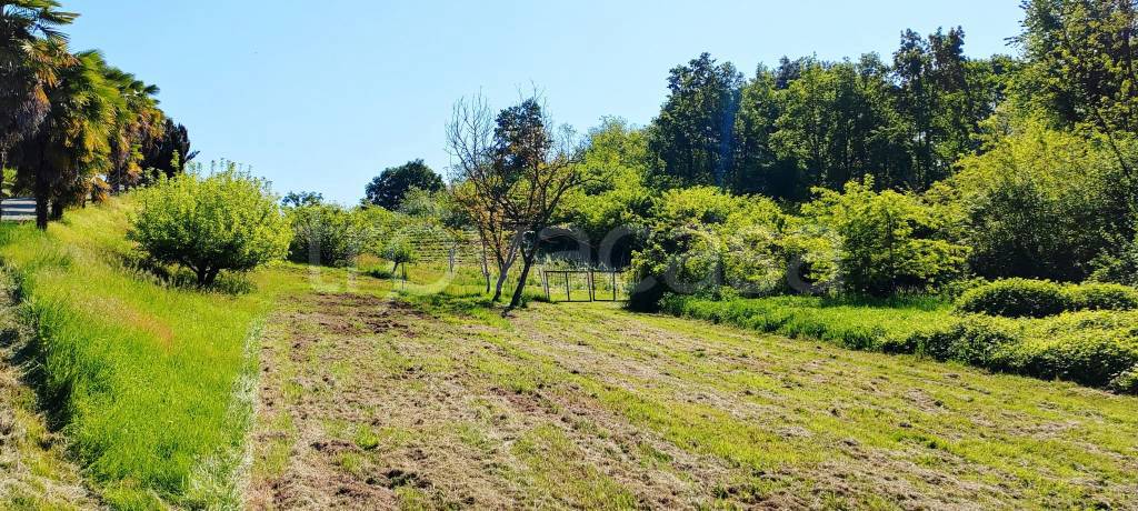 immagine annuncio 12 di 14