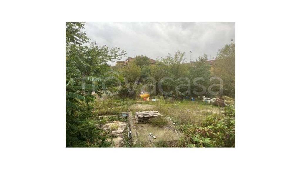 immagine annuncio 4 di 6