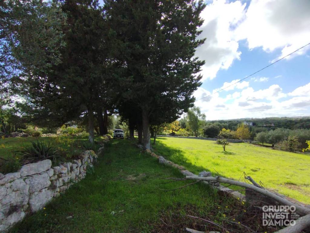 immagine annuncio 7 di 9