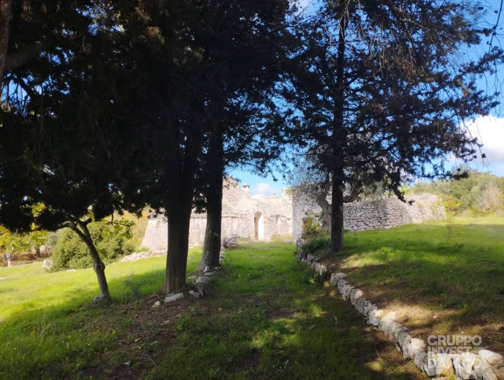 immagine annuncio 8 di 9