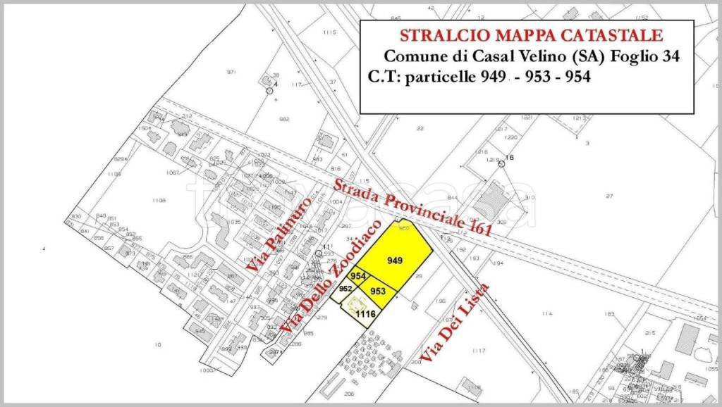 immagine annuncio 14 di 15