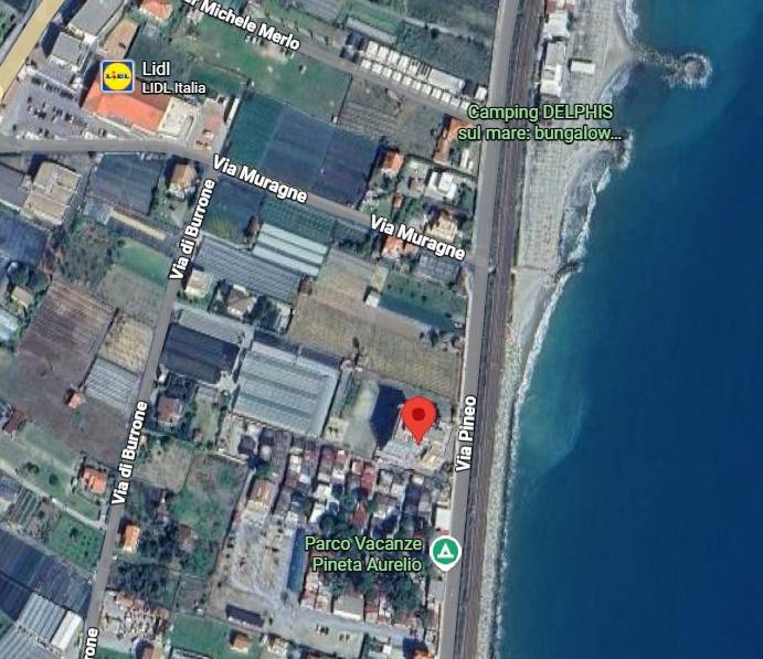 immagine annuncio 12 di 13