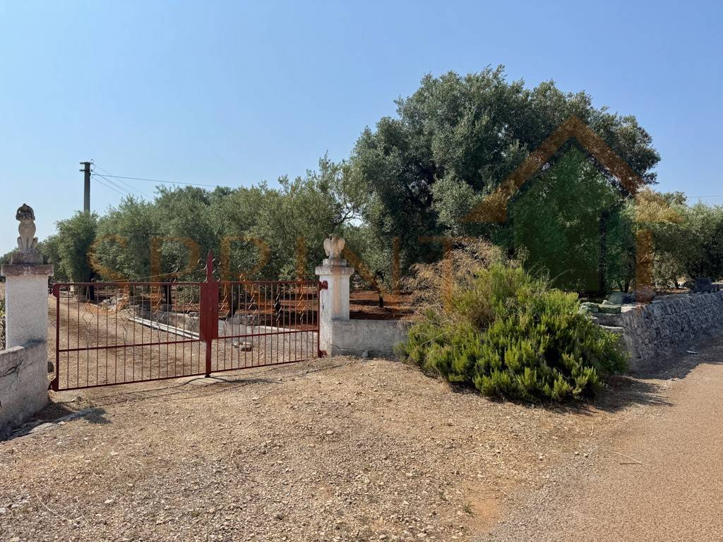 immagine annuncio 3 di 12