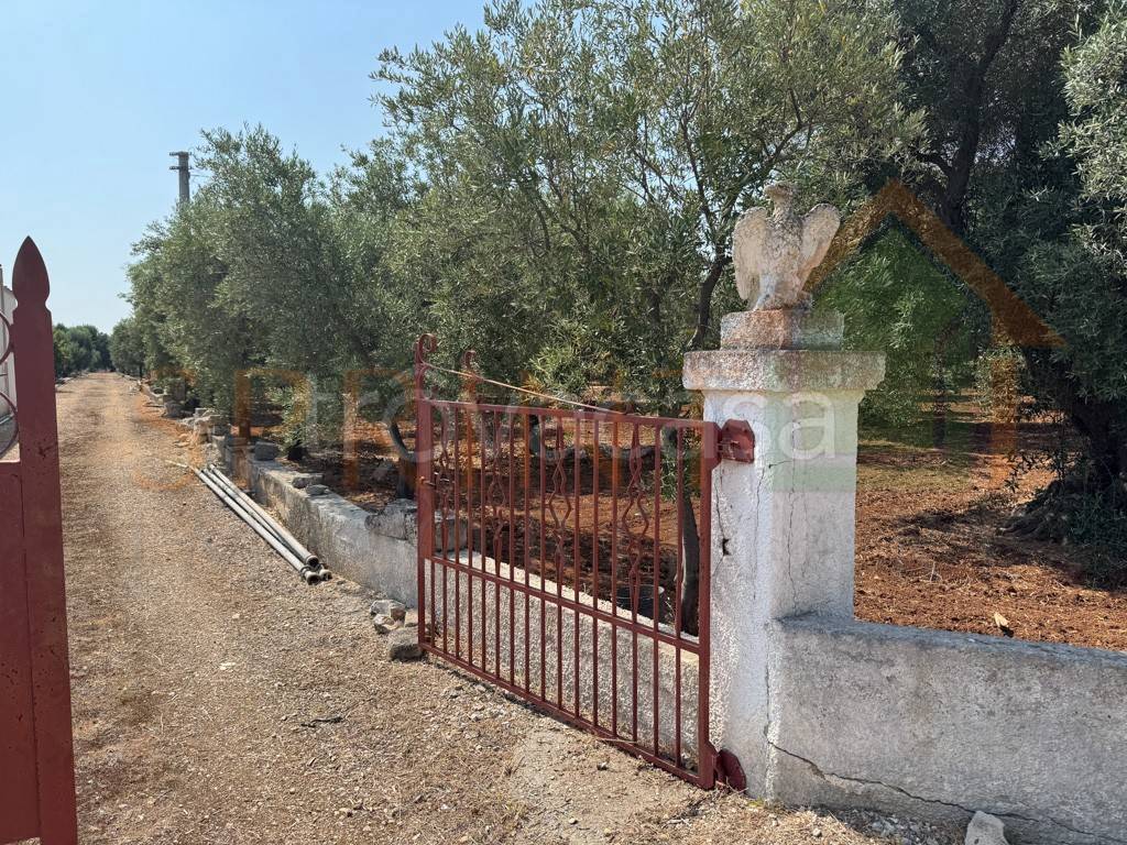 immagine annuncio 6 di 12