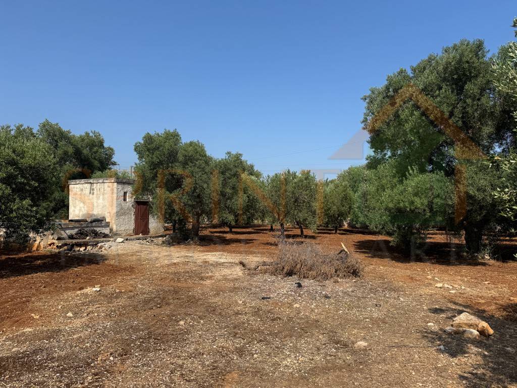 immagine annuncio 8 di 12