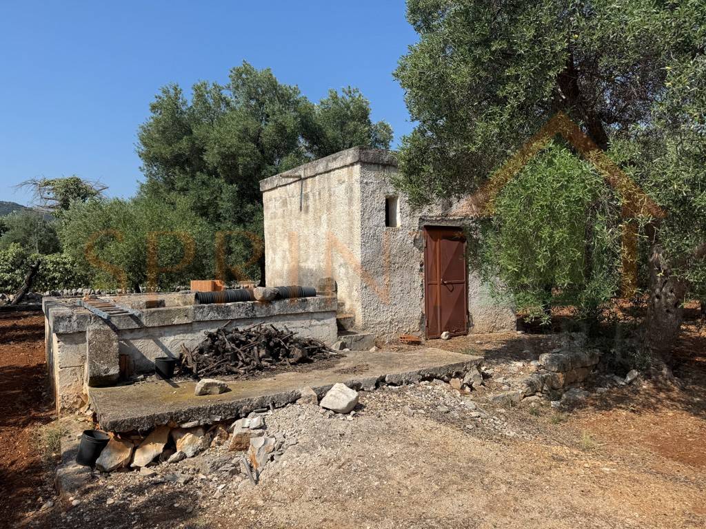 immagine annuncio 9 di 12