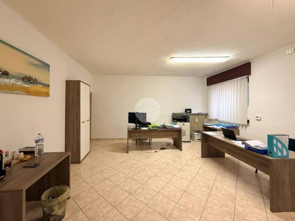 immagine annuncio 5 di 12