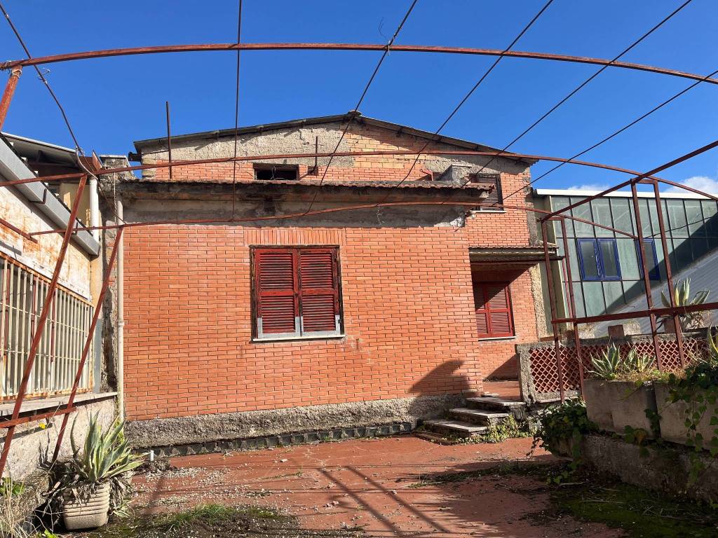 immagine annuncio 1 di 2