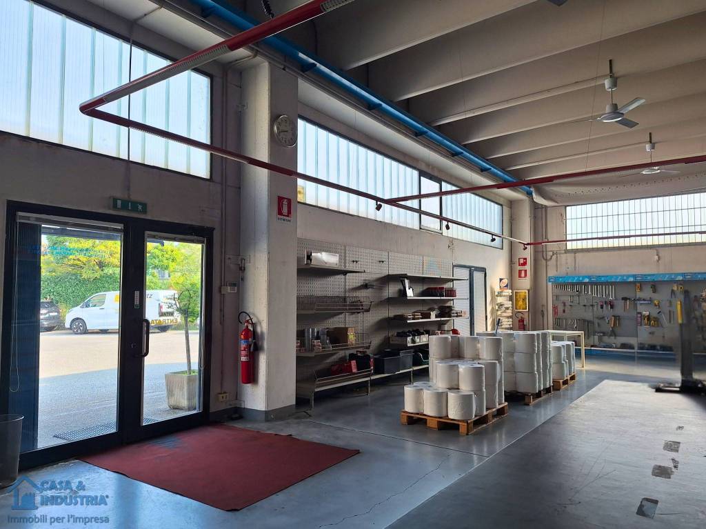 immagine annuncio 2 di 15