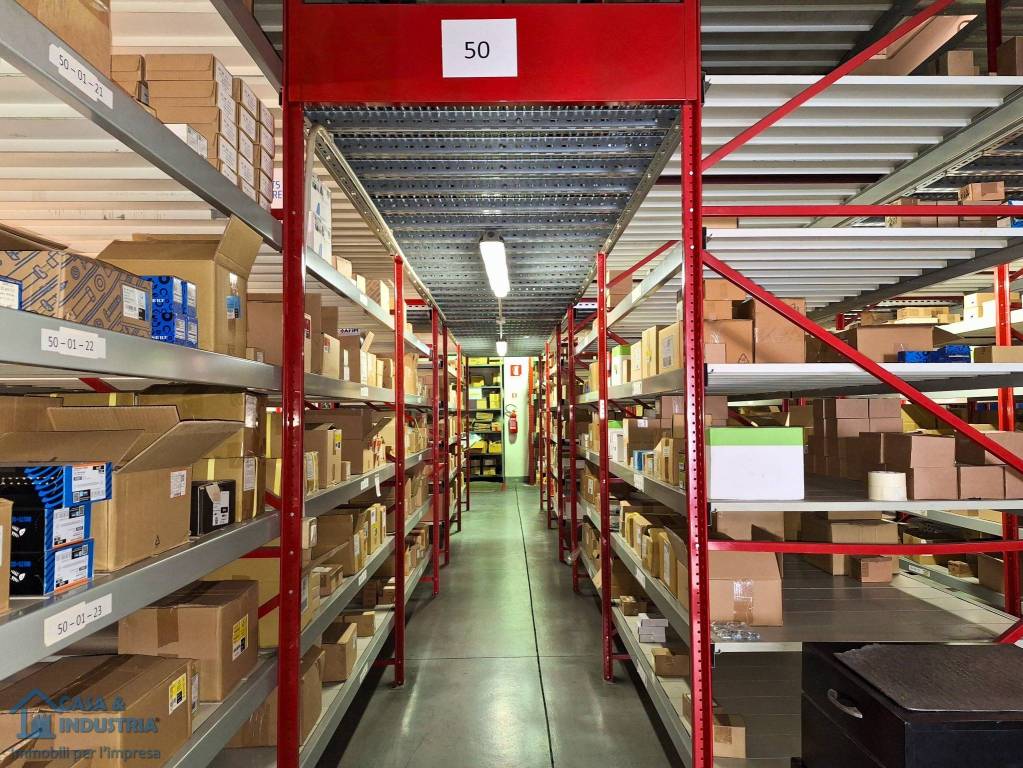 immagine annuncio 12 di 15