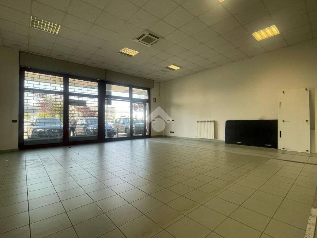 immagine annuncio 1 di 14