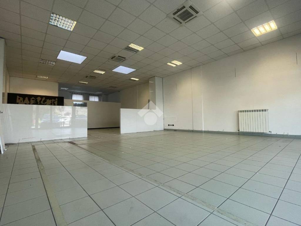 immagine annuncio 9 di 14