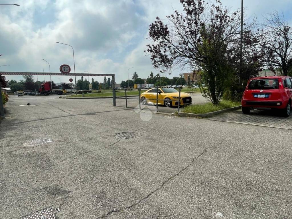 immagine annuncio 10 di 14