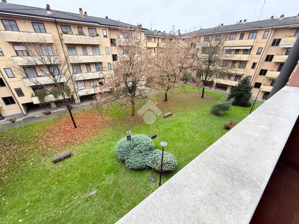 immagine annuncio 1 di 14