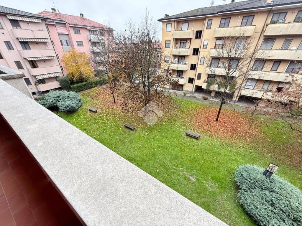 immagine annuncio 2 di 14