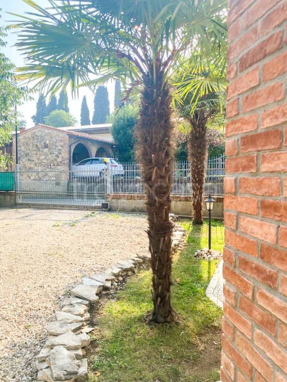 immagine annuncio 11 di 12