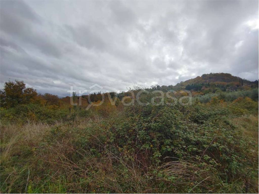 immagine annuncio 3 di 14