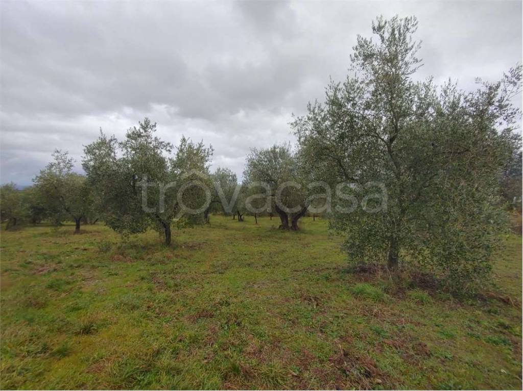 immagine annuncio 7 di 14