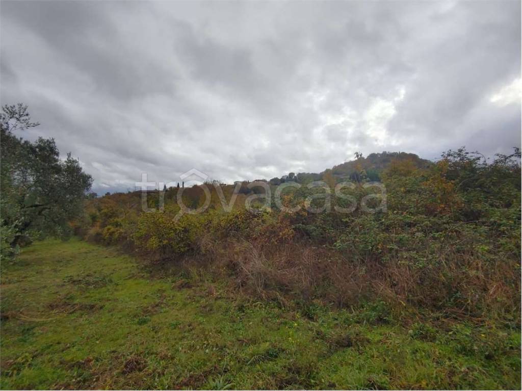 immagine annuncio 8 di 14