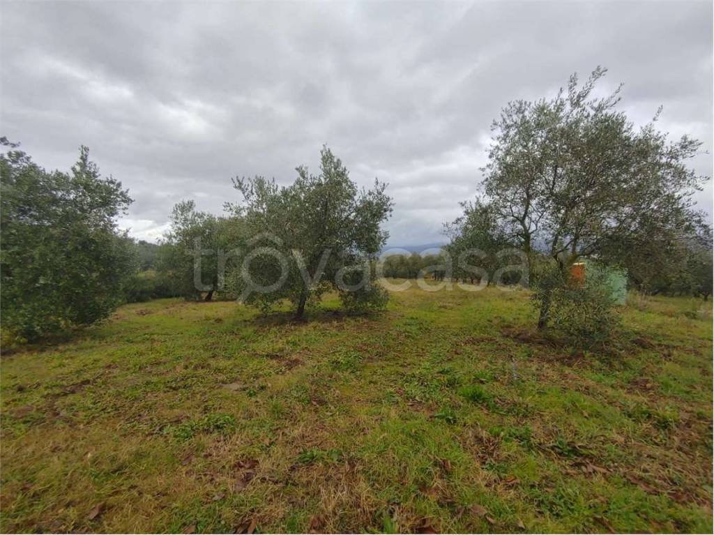 immagine annuncio 9 di 14