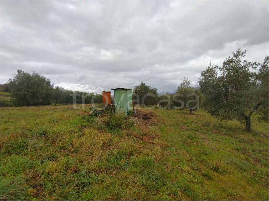 immagine annuncio 11 di 14