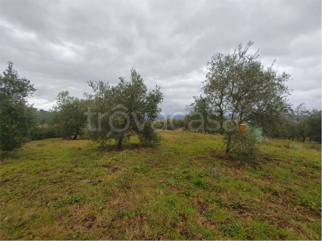 immagine annuncio 12 di 14