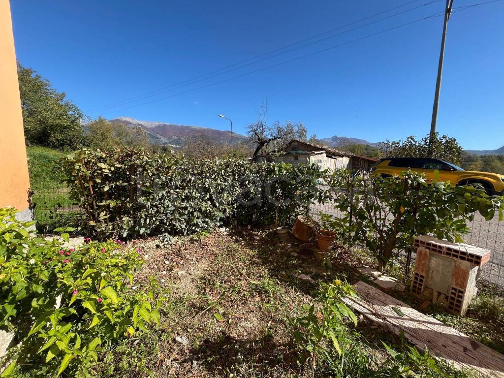 immagine annuncio 2 di 8