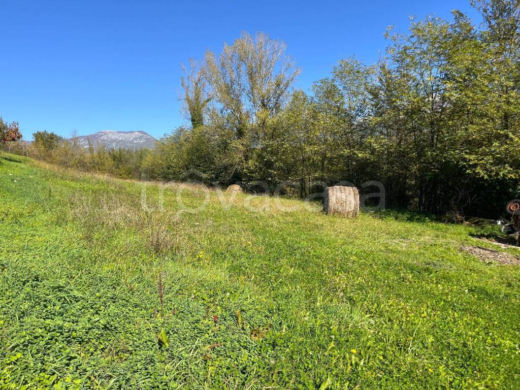 immagine annuncio 4 di 8