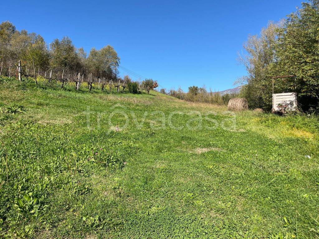 immagine annuncio 5 di 8