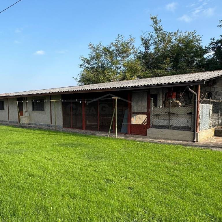 immagine annuncio 3 di 15