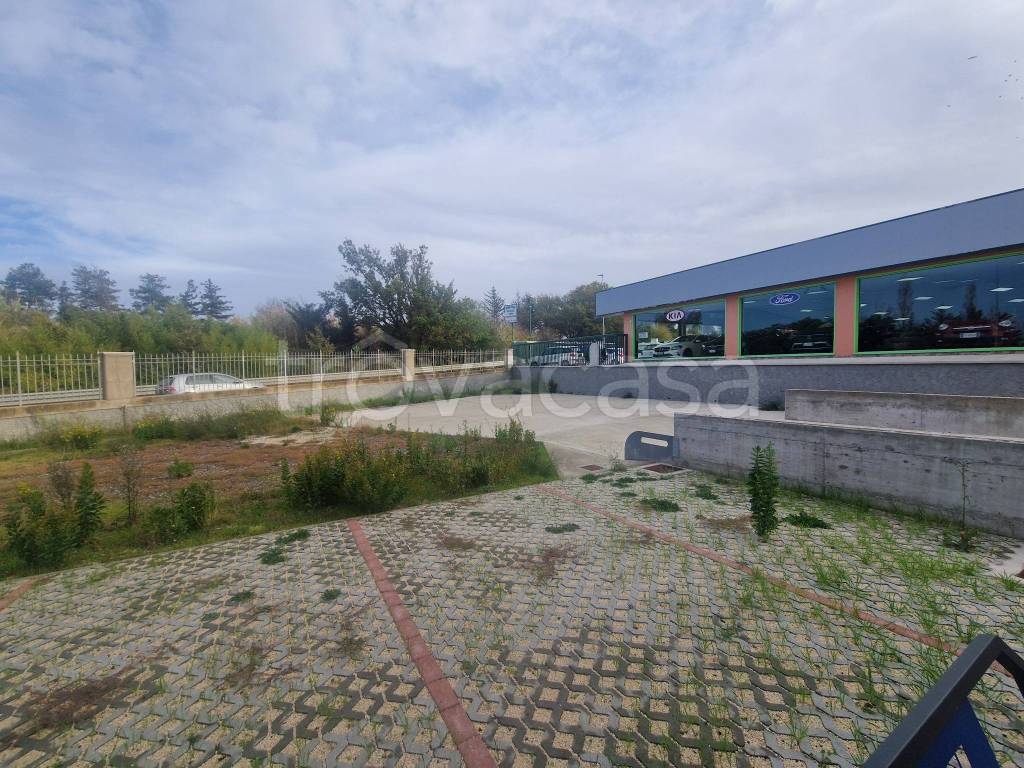 immagine annuncio 12 di 15