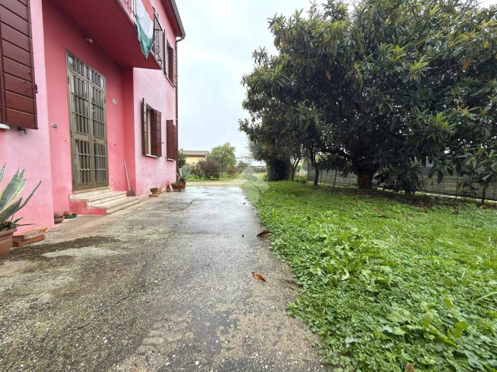 immagine annuncio 1 di 14