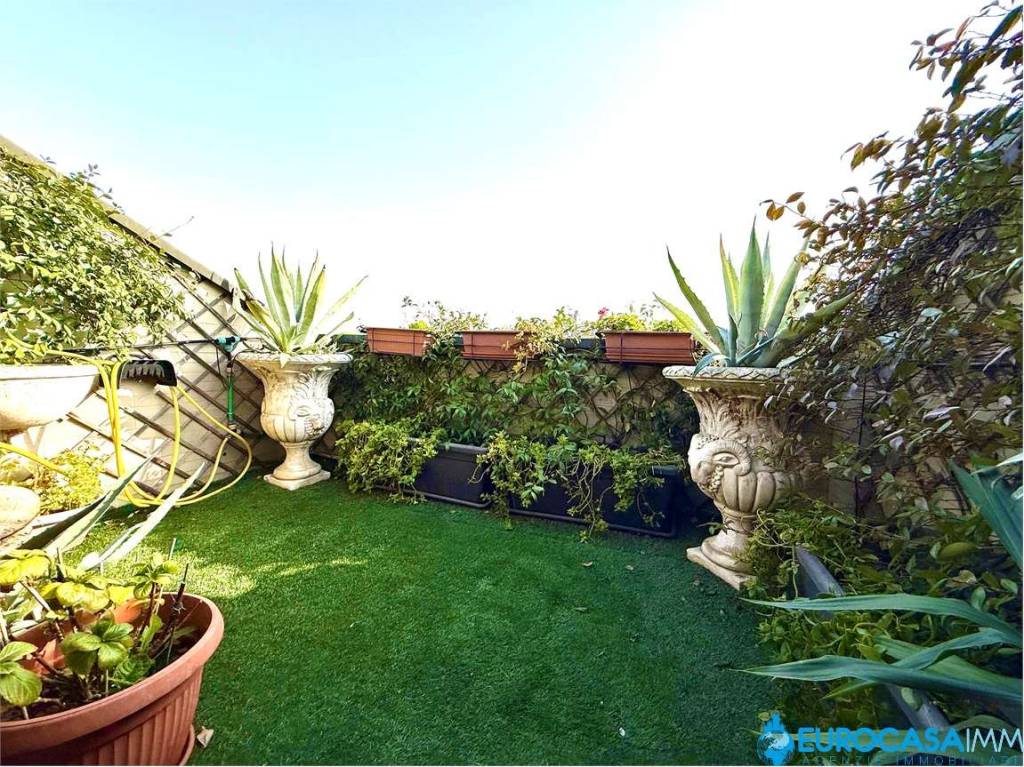 immagine annuncio 6 di 15