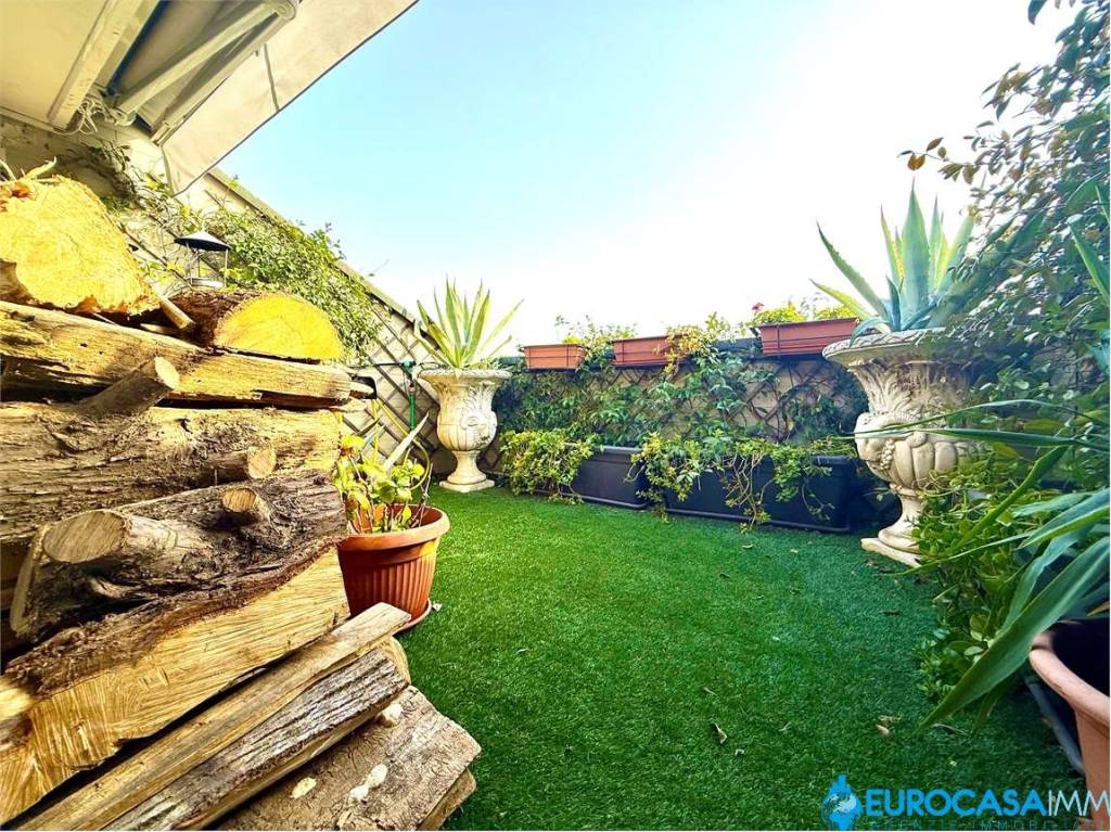 immagine annuncio 7 di 15