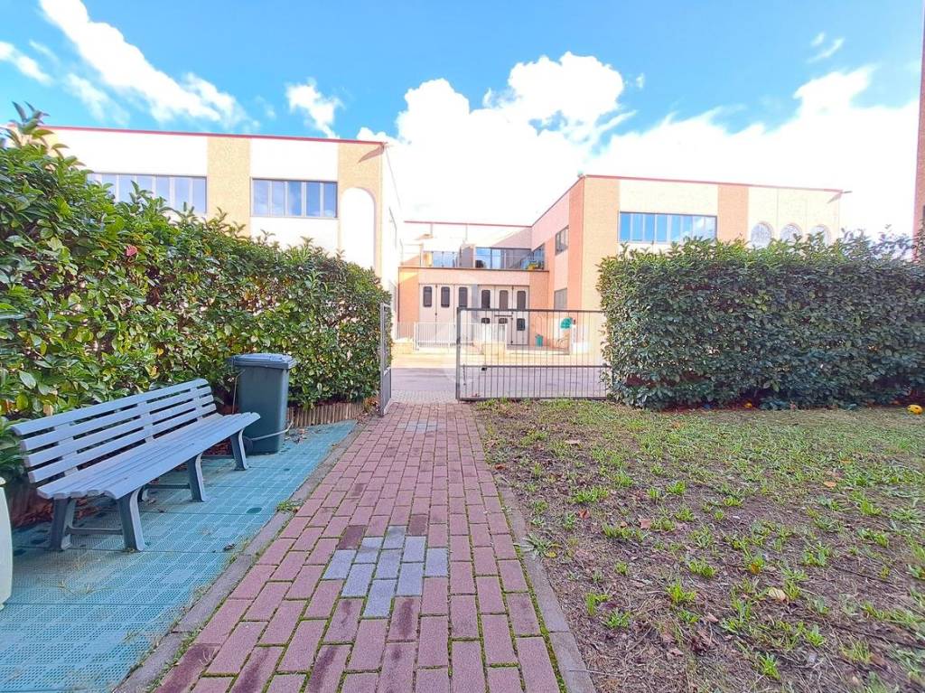 immagine annuncio 3 di 15