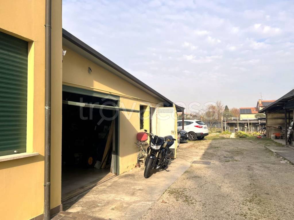 immagine annuncio 5 di 15