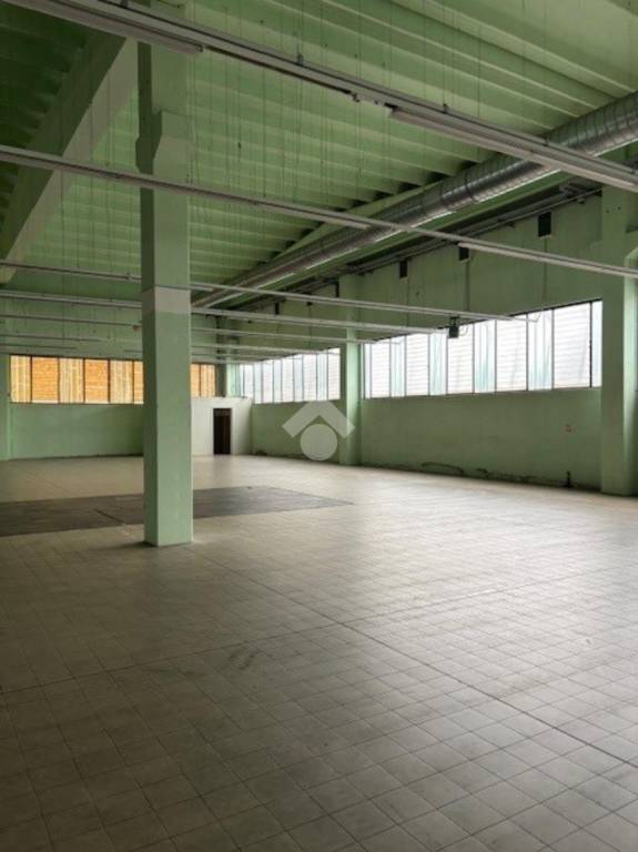 immagine annuncio 2 di 14