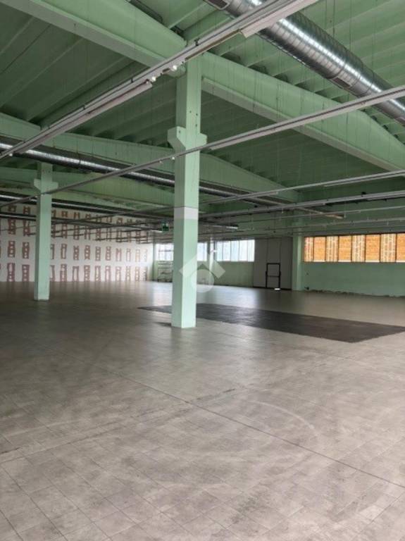 immagine annuncio 6 di 14