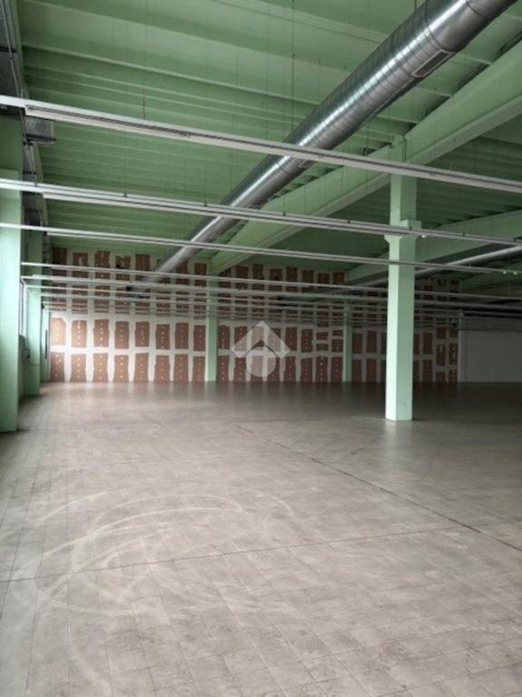 immagine annuncio 7 di 14