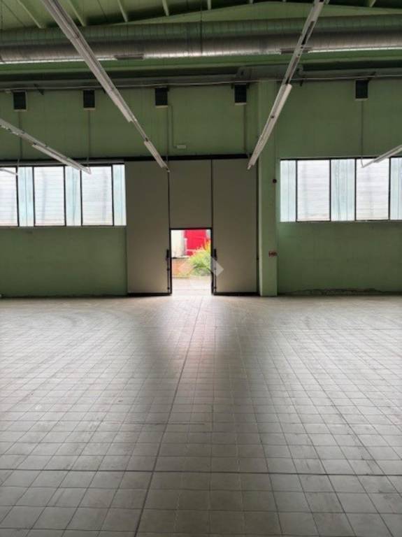 immagine annuncio 8 di 14