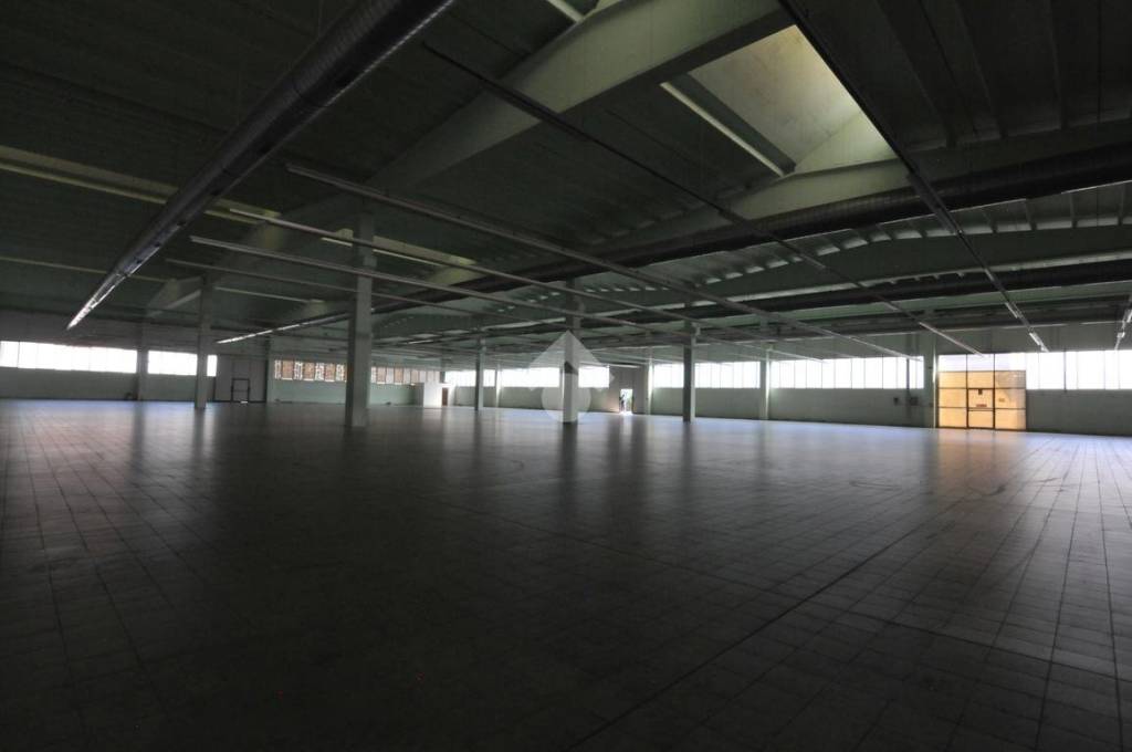 immagine annuncio 10 di 14