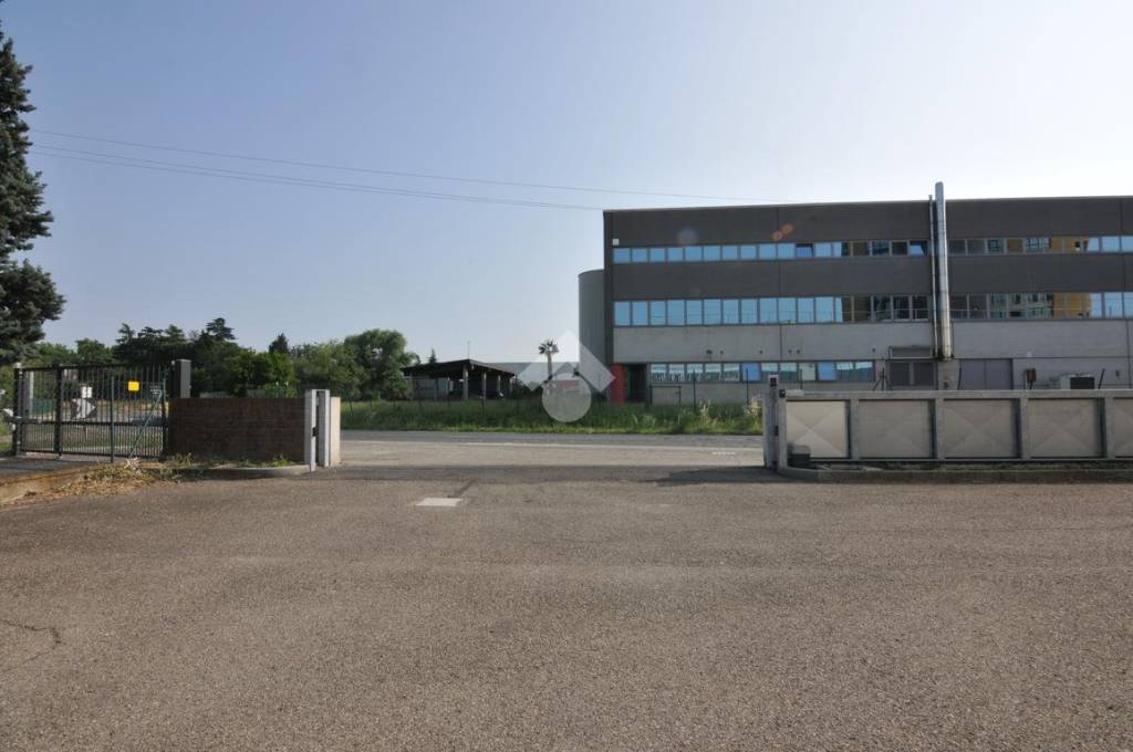 immagine annuncio 13 di 14