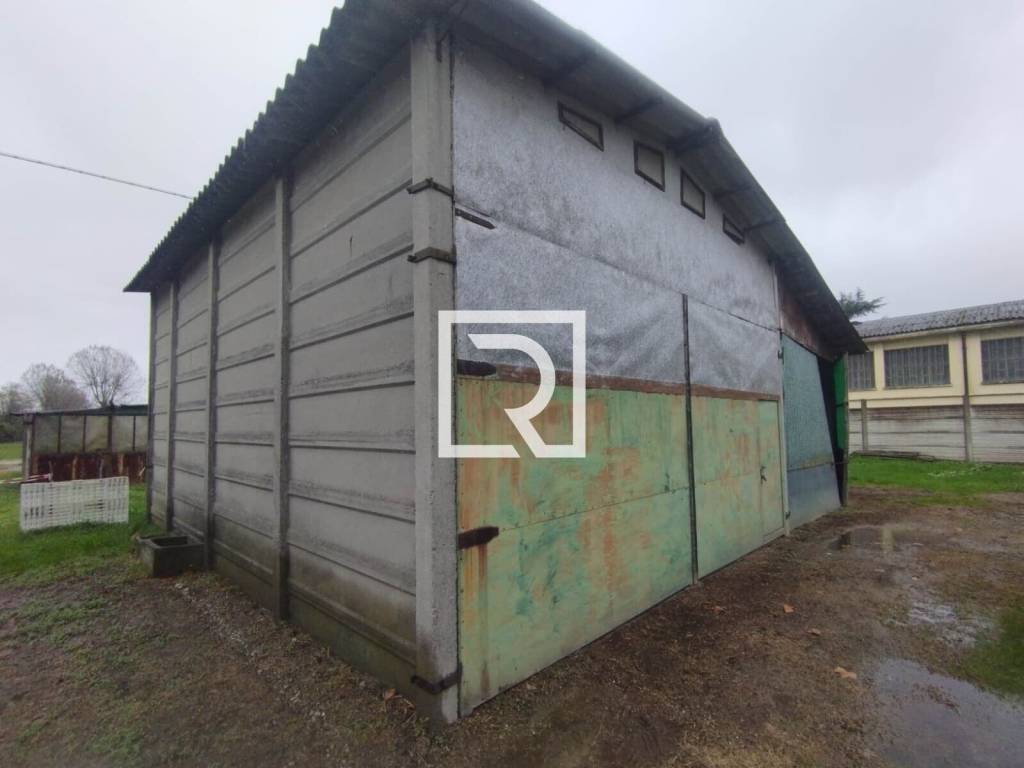 immagine annuncio 12 di 15