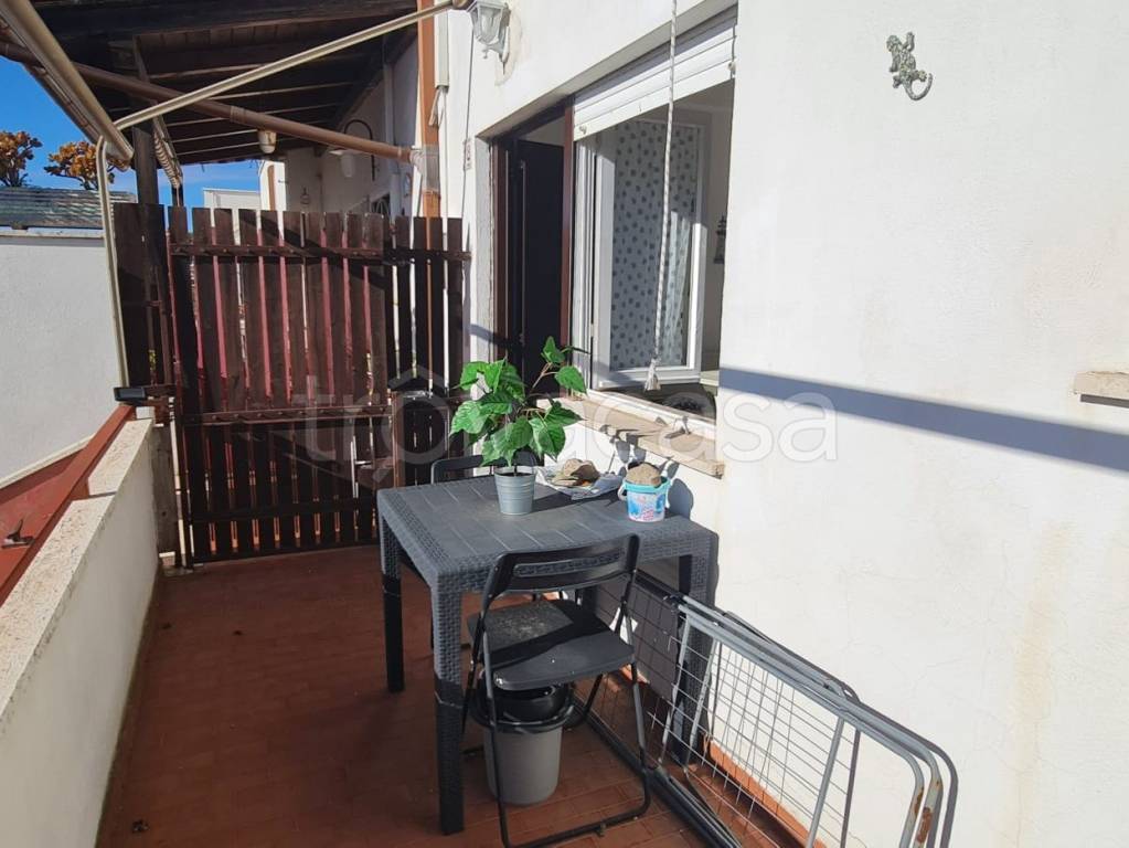 immagine annuncio 12 di 14