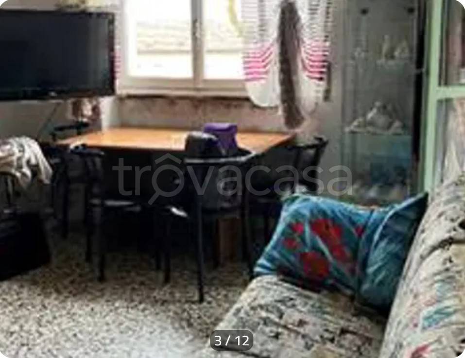 immagine annuncio 9 di 14